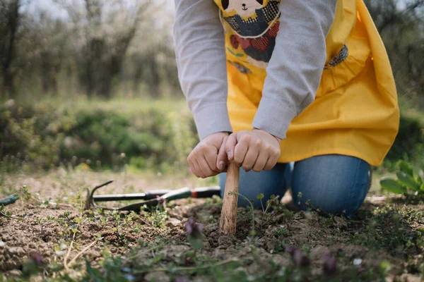 Pandangan dekat-up tangan perempuan mendorong seeder di tanah — Stok Foto