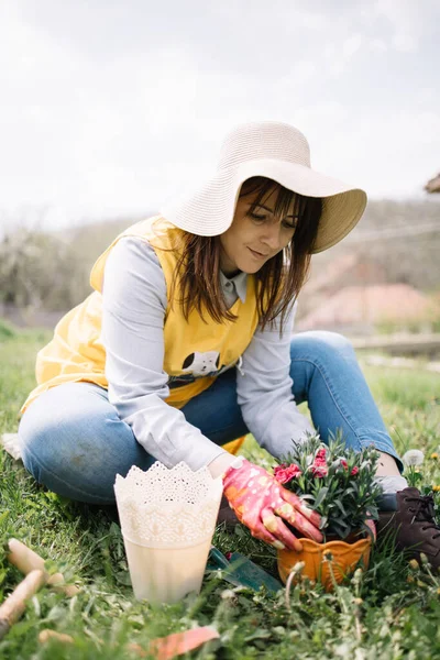 Potret tukang kebun menanam bunga di tanah halaman belakang — Stok Foto