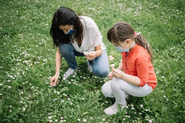 Sudut pandang yang tinggi dari ibu dan anak yang mengumpulkan bunga dari padang rumput — Stok Foto
