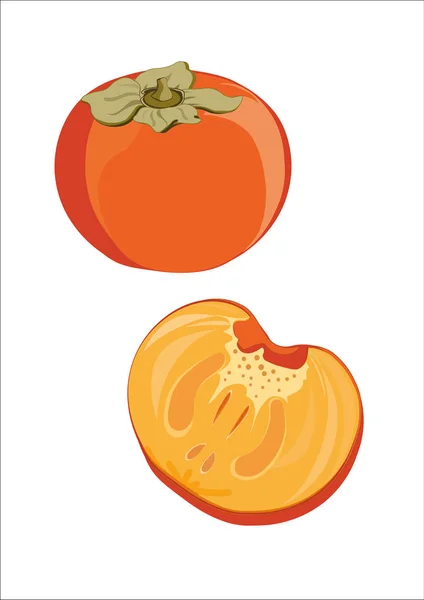 Caco frais illustré — Image vectorielle