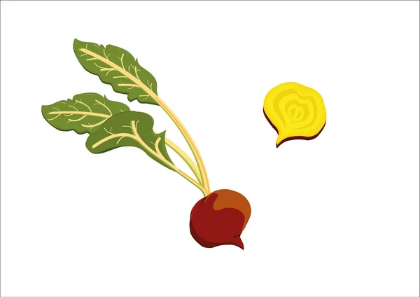 Mor yarasa beyaz arka plan üzerinde resimli