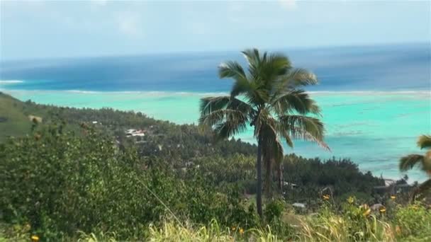 Lagune Aitutaki Scenic Outdoor Panoramisch uitzicht op tropisch rif Polynesië — Stockvideo