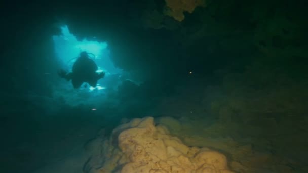 Buceador de Cuevas Submarinas Buceo en Cueva de Mar Submarino o Cueva en Mar Azul Profundo — Vídeo de stock