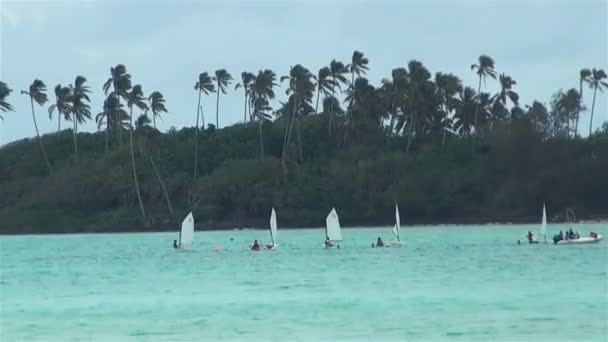 Boten & Catamaran Of Hobie Cat Yachts Zeilen op Muri Lagoon Reef Rarotonga Island — Stockvideo