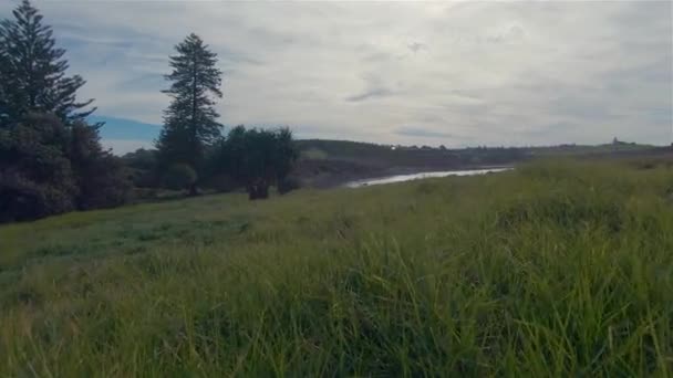 Lennox Head. Grass Cliffs Burnu Avustralya manzarası. Kıyı Tatili Hedefi — Stok video