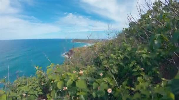 Lennox Point Headland Cliffs View.Landskap Australien.Semestermål vid havet — Stockvideo