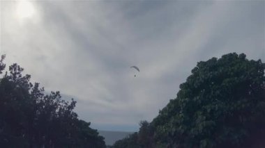 Paraglider Paragliding. Para Planörü Ağaçların Üzerinde Kayıyor. Açık Hava Eğlencesi Aktivite Sporu