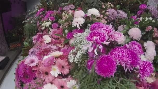 Tedder Avenue Flower Festival Main Beach.Gold Coast Evento.Pink Flowers & Panda — Vídeos de Stock