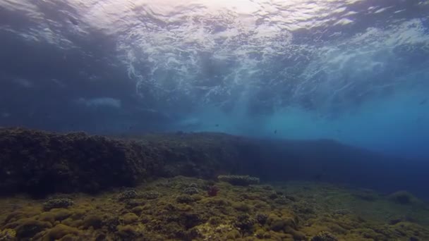 海底海景。 美丽的蓝色阳光照射下的海面波浪与珊瑚礁 — 图库视频影像