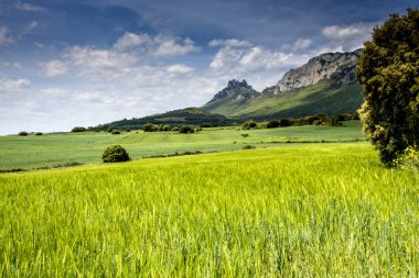 Alava İspanya baharda manzara