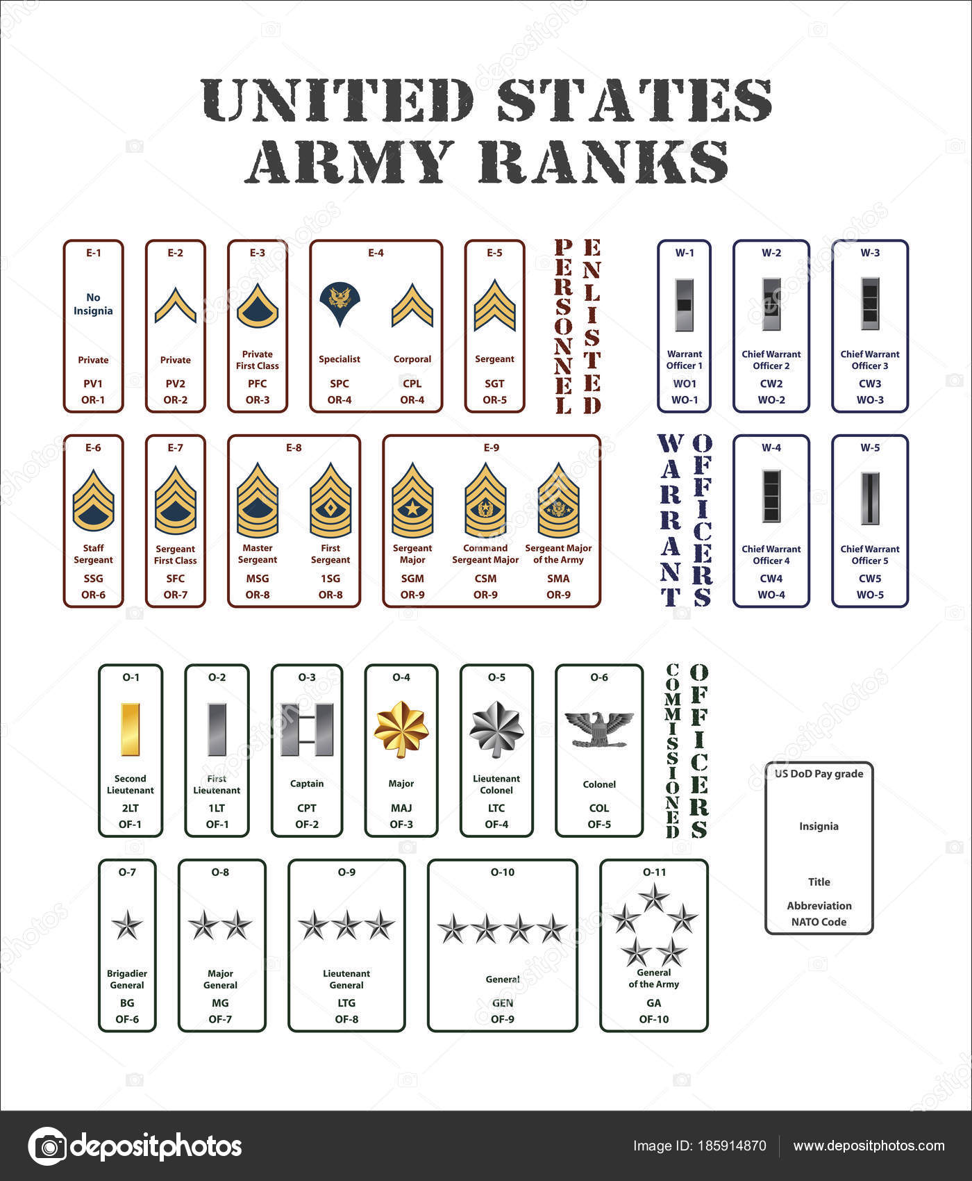 Set Ranks United States Army ⬇ Vector Image By © Angusgrafic Vector