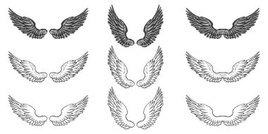 Beyaz arkaplanda siyah ve beyaz kanatlar