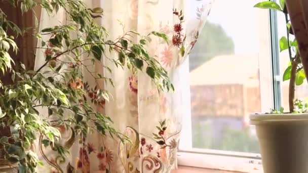 Floral Decorated Sheer zasłona wieje na wietrze z otwartego okna w letni dzień — Wideo stockowe