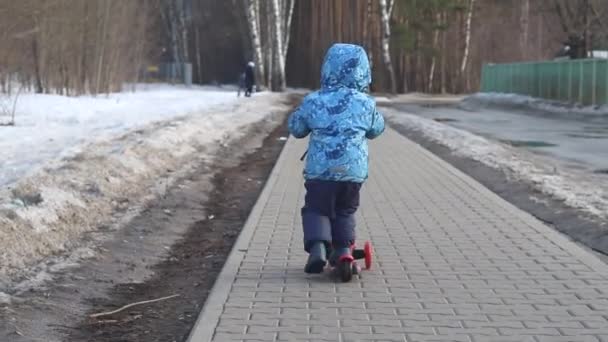 Mały chłopiec biegnący na skuterze po chodniku plecami do kamery na czerwonym skuterze. — Wideo stockowe