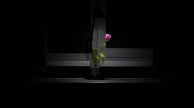 Çiçekler ve vazolar Parlak bir gecede evde.