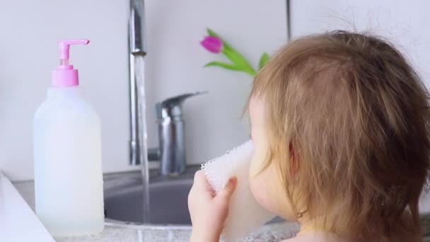 Uma criança pequena vai lavar os pratos e tira uma esponja ecológica segura de materiais orgânicos, puxa-a para a boca e prova-a. Conceito de segurança infantil . — Vídeo de Stock