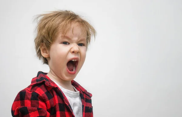 Child boy preschooler yawns on a white gray background. Kid woke up and did not sleep. His hair is disheveled. The concept is difficult to get up in the morning in kindergarten. daily regime — Stock Photo, Image