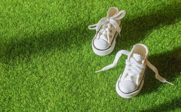 Unisex White Sneakers Grass Park Top View Copy Space Health — Stock Photo, Image