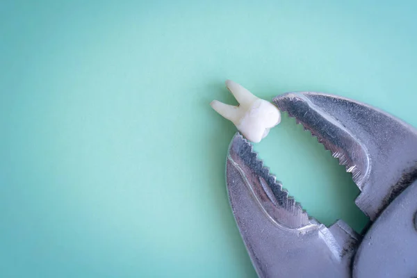 Разорванный Зуб Зажимается Большими Плоскогубцами Зеленом Синем Медицинском Фоне Вид — стоковое фото
