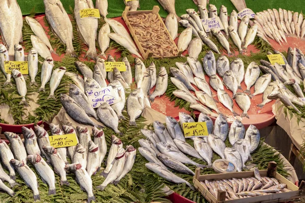 Stanbul, Turquia - Novembro-11.2019: Peixe-marinho em balcão no mercado de peixe, Istambul, Turquia — Fotografia de Stock