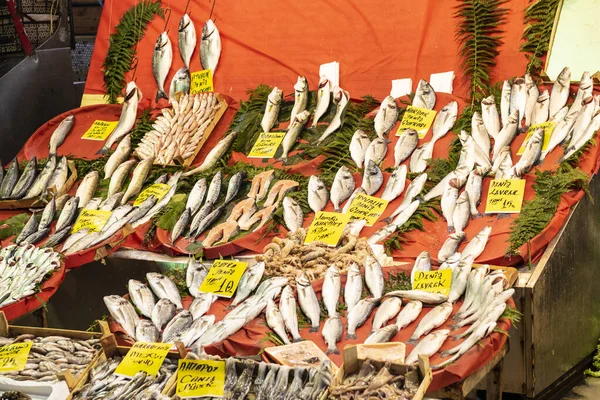 Stanbul, Törökország - 2019. november-11.Sea fish on a counter at the fish market, Isztambul, Törökország — Stock Fotó