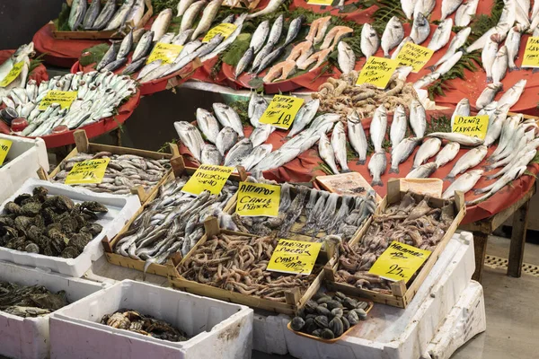 Stanbul, Turkije - november-11.2019: Zeevis op de vismarkt, Istanbul, Turkije — Stockfoto