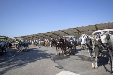 Büyükada Phaeton 'da dinlenme yeri. Farklı dekorasyonlar var. Yerel eski kullanım.