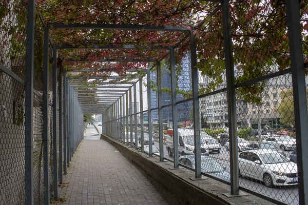 Istambul, Turquia - Novembro-10.2019: O passeio é coberto com cerca e coberto com hera . — Fotografia de Stock