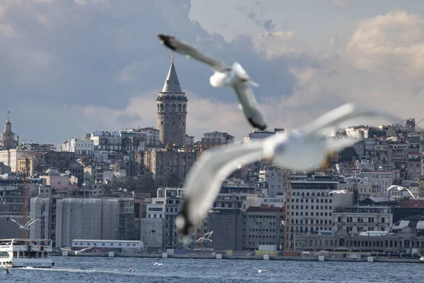 Istanbul, Turquie - Septembre-11.2019 : Ferry passant sous le pont de Galata. En face de la plage de Karakoy et au-dessus se trouve la tour de galata . — Photo