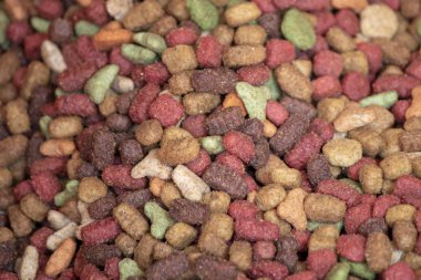 Köpek mamasının en üst görüntüsü. Kırmızı, yeşil ve kahverengi köpek maması. Kapat.