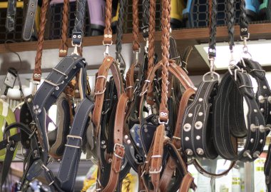 Birçok köpek tasmaları ve satış için asılı halatlar.