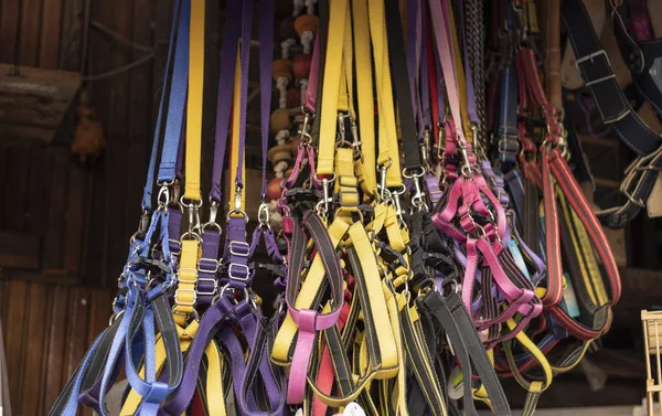 Muchos collares de perro y cuerdas colgadas para la venta . — Foto de Stock
