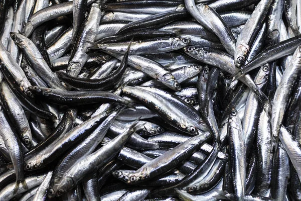 Heap de pequenos peixes de anchova mediterrânica no mercado. Numa caixa branca. Fechar . — Fotografia de Stock