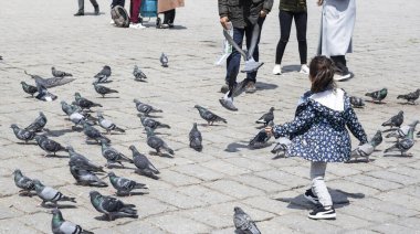 Küçük kız güvercinlerin arasında koşuyor. İstanbul Beyazit Meydanı fotoğraflandı.