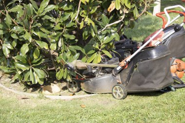 Ağacın dibindeki çim biçme makinesi kullanılmış. Üzerinde çimen parçaları var. Fotoğraf gündüz çekilmiş..