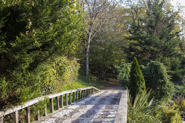 Camino Pavimentado Piedra Bosque Fue Tomada Dentro Del Alboretum Ataturk — Foto de Stock