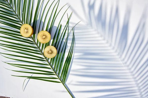Green Palm Leaf Two Halves Ripe Golden Kiwi Laying Close — Stock Photo, Image