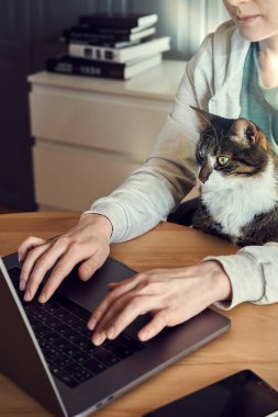 Yeşil tişörtlü ve biege kapüşonlu genç bir kadın evde, dizüstü bilgisayarı ve akıllı telefonu olan bir kediyle kucağında oturuyor, çalışıyor ya da internetten alışveriş yapıyor. Dikey 45 derece, sadece kollar ve yüzün yarısı görünüyor.