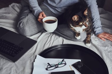 Genç, koyu kahverengi ev kedisi kadınların kucağında oturuyor. Gri ev elbiseli bir kadın elinde bir fincan sade kahve ile yatakta oturuyor. Dizüstü bilgisayarı, yuvarlak tepsiyi ve yanında gözlük ve akıllı telefonu aç.