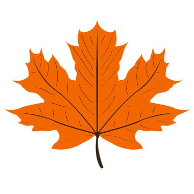 Şükran günün kutlu olsun