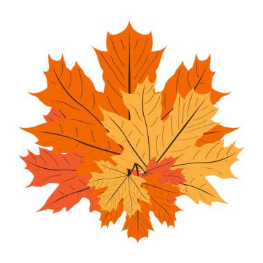 Şükran günün kutlu olsun