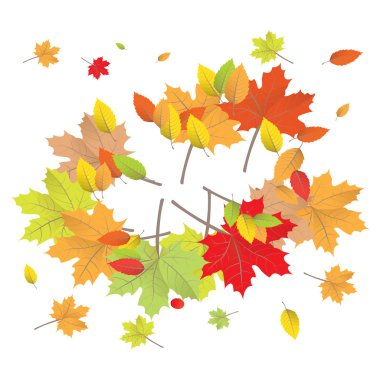 Şükran günün kutlu olsun