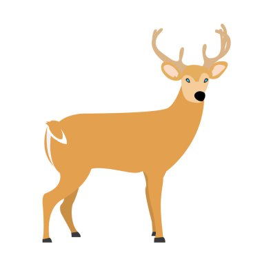 Geleneksel Noel nesne