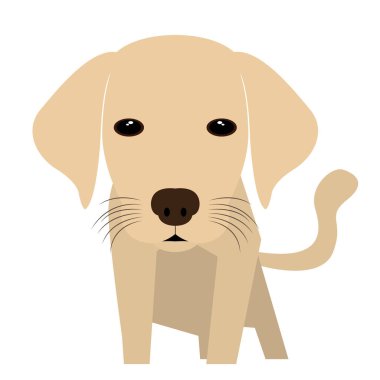 Evde beslenen hayvan illüstrasyon izole