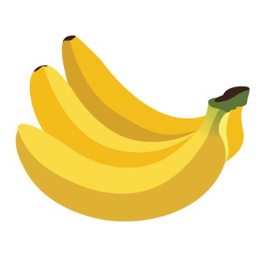 İzole meyve illüstrasyon