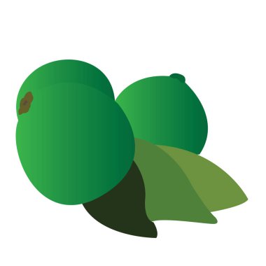 İzole meyve illüstrasyon