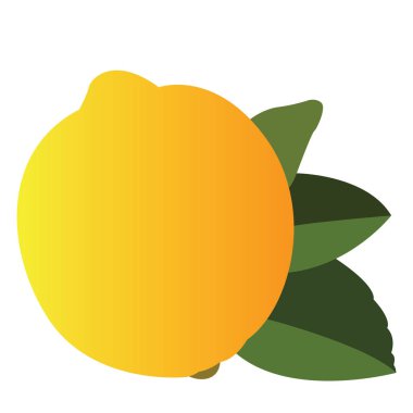 İzole meyve illüstrasyon