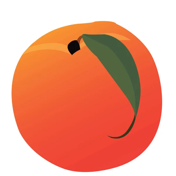 Isolated fruit illustration — Stock Vector