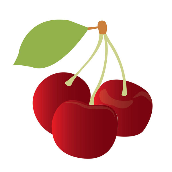 Isolated fruit illustration