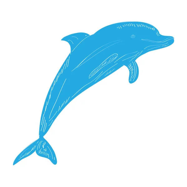 Изолированный эскиз дельфина — стоковый вектор